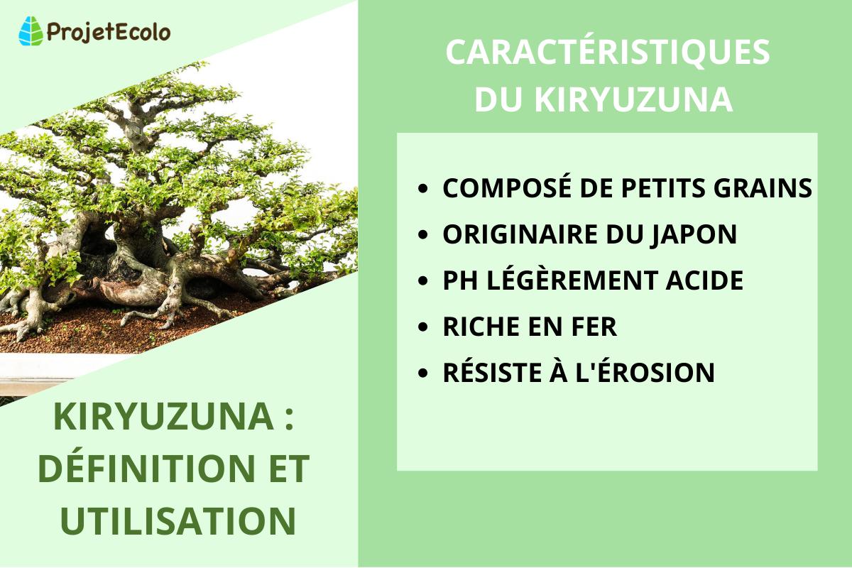 Kiryuzuna : Définition et utilisation