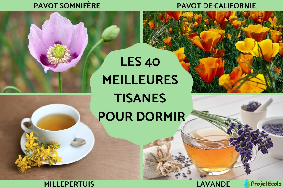 Quelle est la meilleure tisane pour dormir