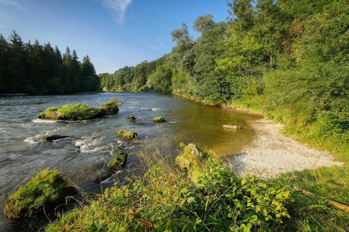Berge : Définition, flore et faune