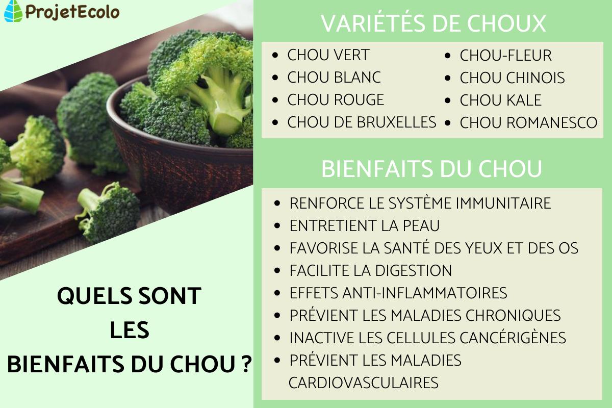 Bienfaits du chou - Propriétés et contre-indications