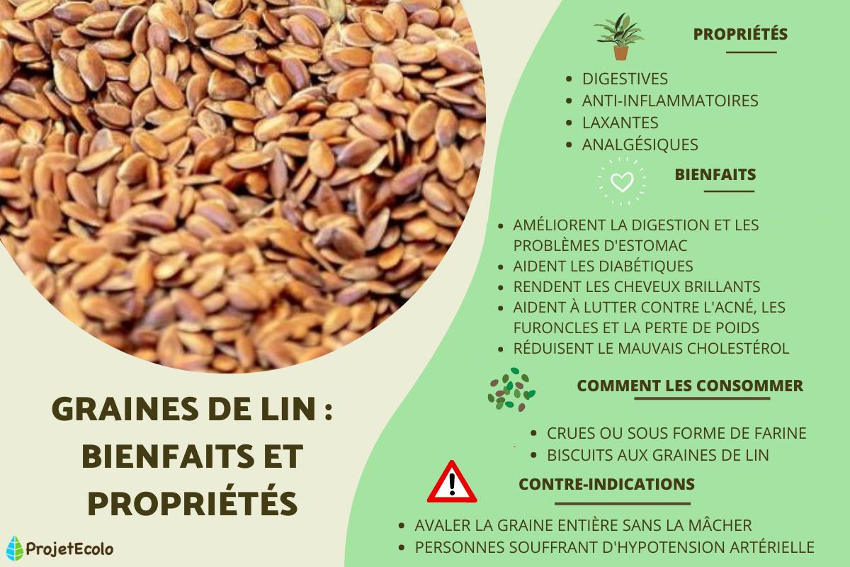 Graines de lin : bienfaits et propriétés