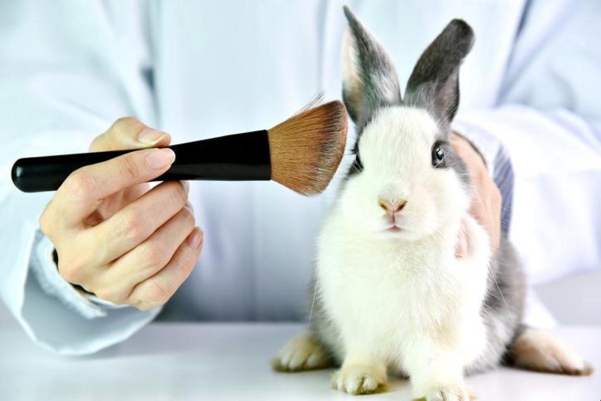 Produits non testés sur les animaux - Savoir si une marque est cruelty free