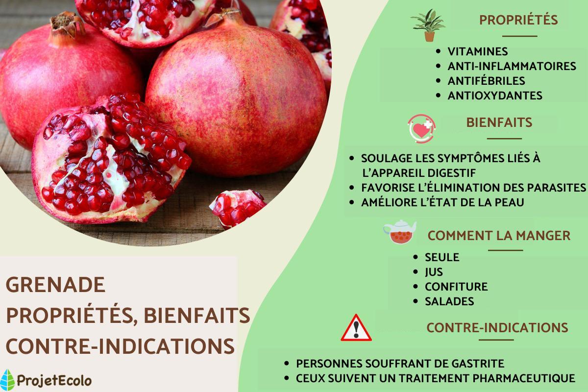 Grenade : propriétés, bienfaits et contre-indications