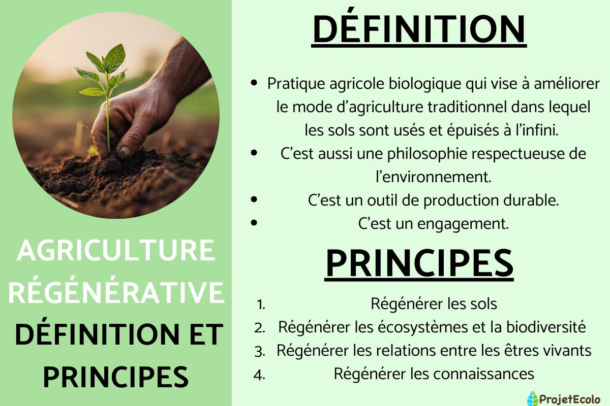 Agriculture régénérative : définition, principes, exemples et avantages