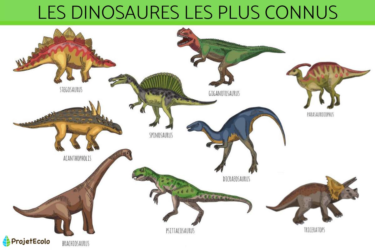 Les dinosaures les plus connus - Types et espèces