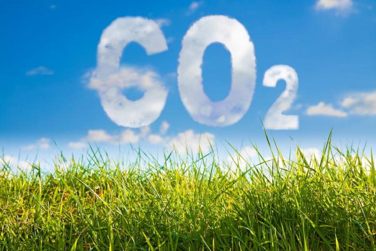Comment réduire son empreinte carbone - 8 actions