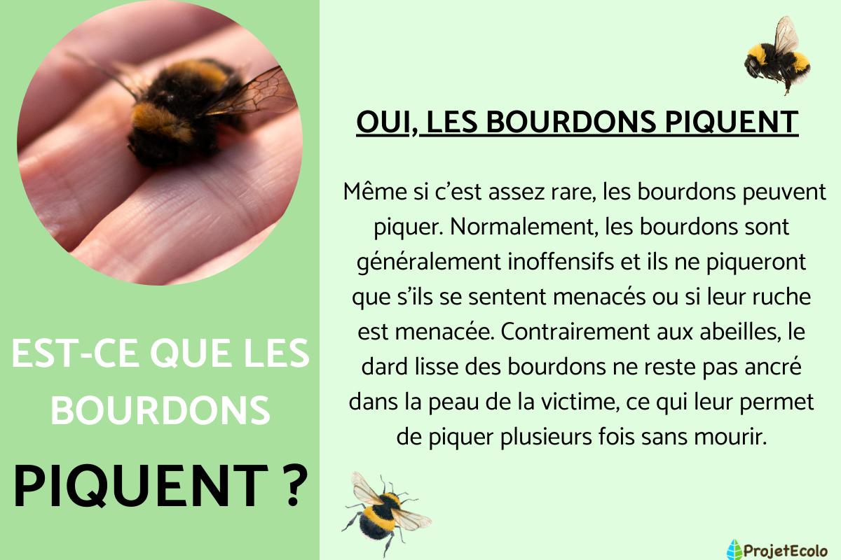 Est-ce que les bourdons piquent ?