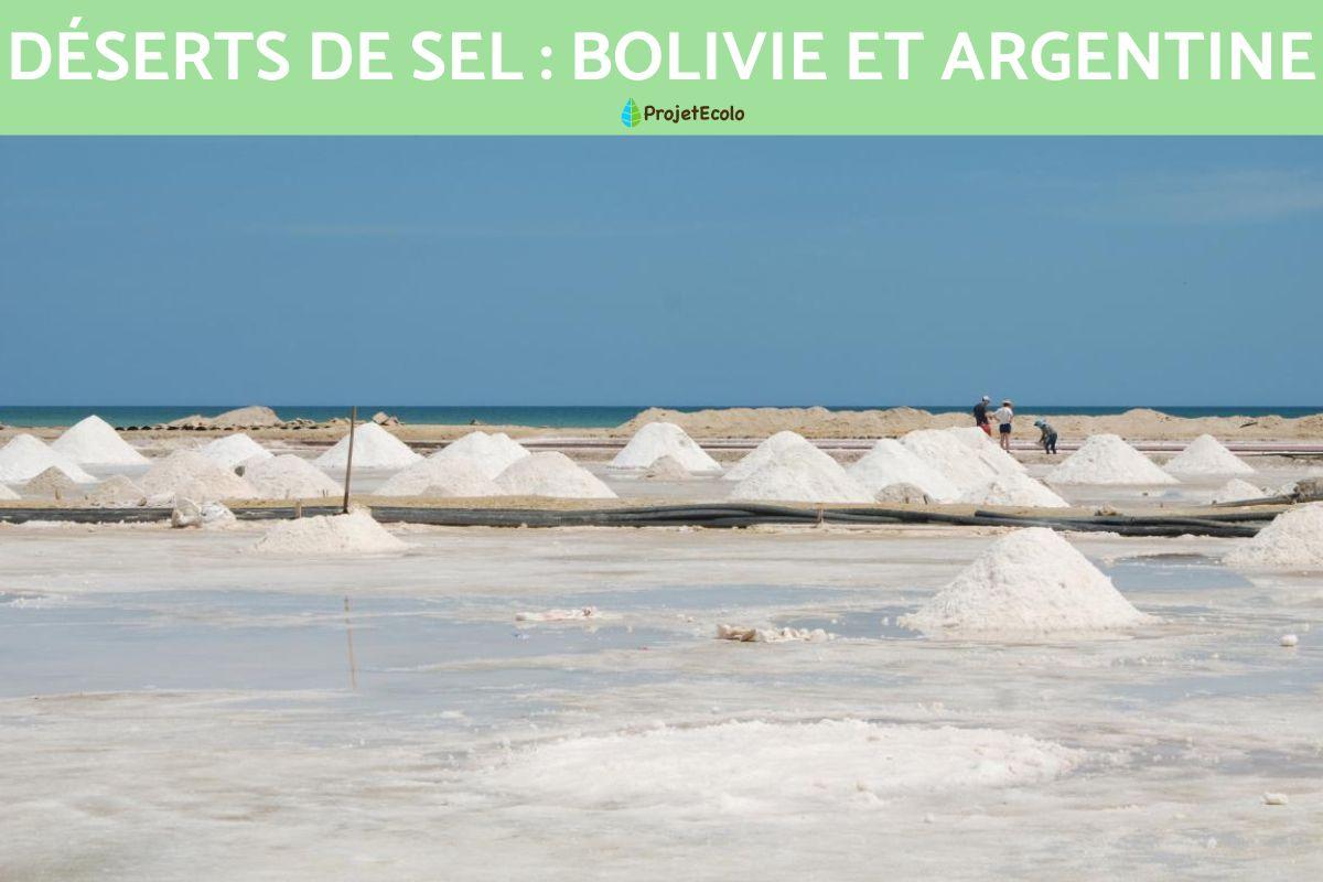 Déserts de sel : Bolivie et Argentine