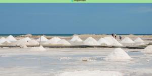 Déserts de sel : Bolivie et Argentine