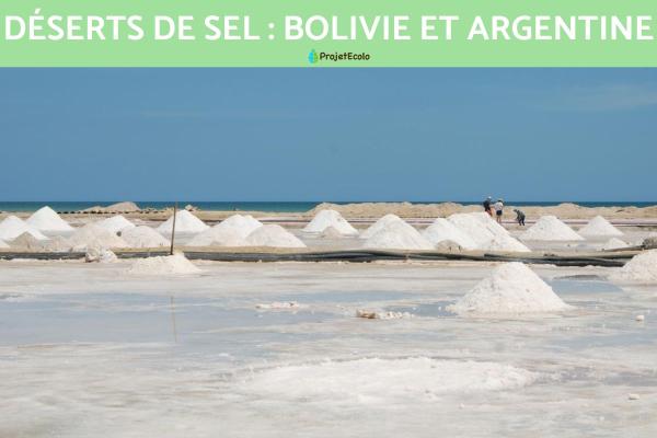 Déserts de sel : Bolivie et Argentine