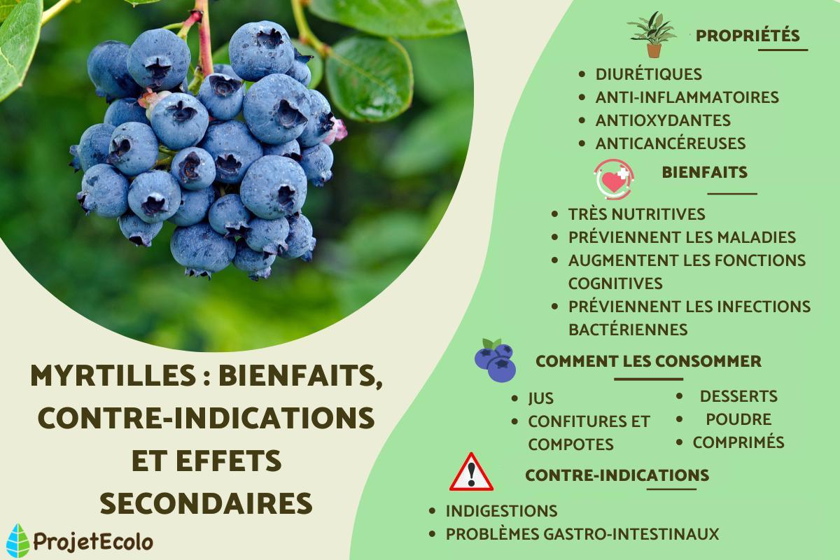 Myrtille : bienfaits, contre-indications et effets secondaires
