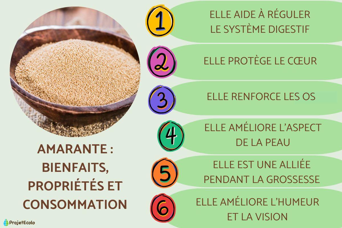 Amarante : bienfaits, propriétés et consommation