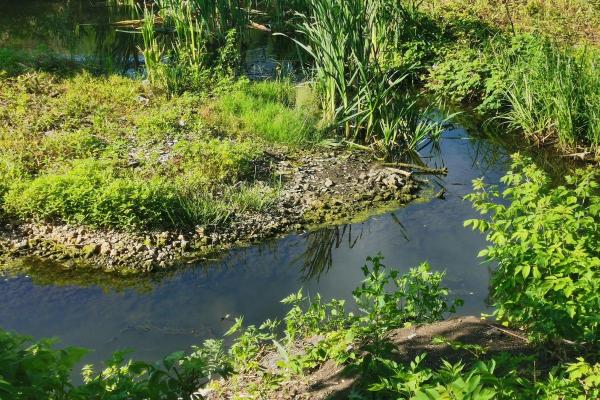 Ruisseau : définition et formation - Caractéristiques d'un ruisseau 