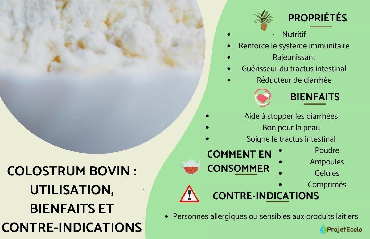 Colostrum bovin : utilisation, bienfaits et contre-indications