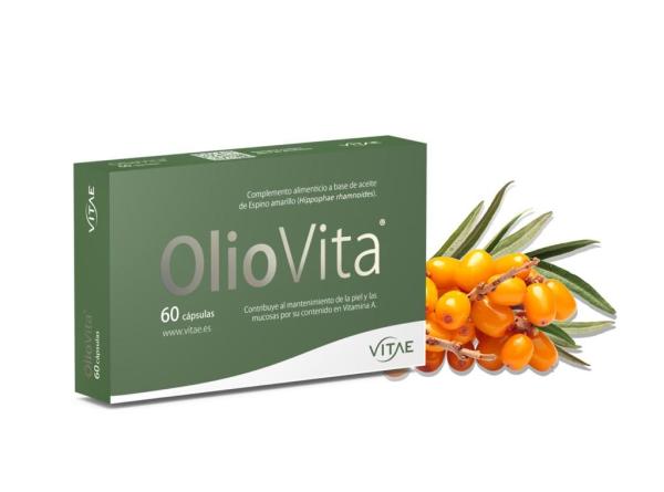 Argousier (Hippophae rhamnoides) : propriétés et contre-indications