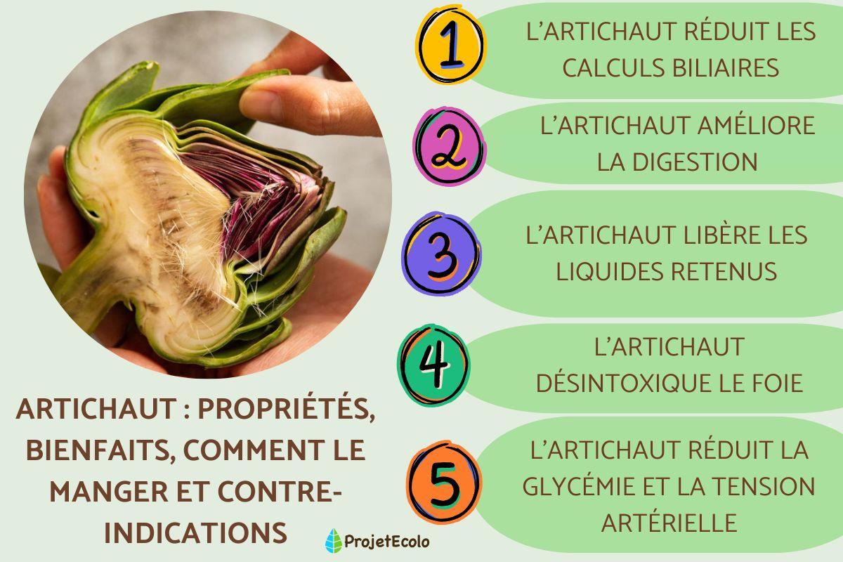 Artichaut : propriétés, bienfaits, comment le manger et contre-indications