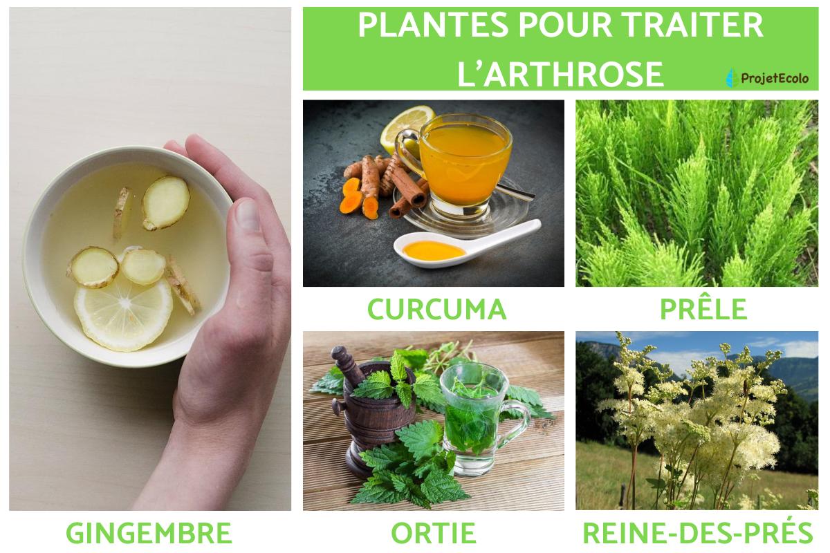 Arthrite et rhumatisme - Tisane A2