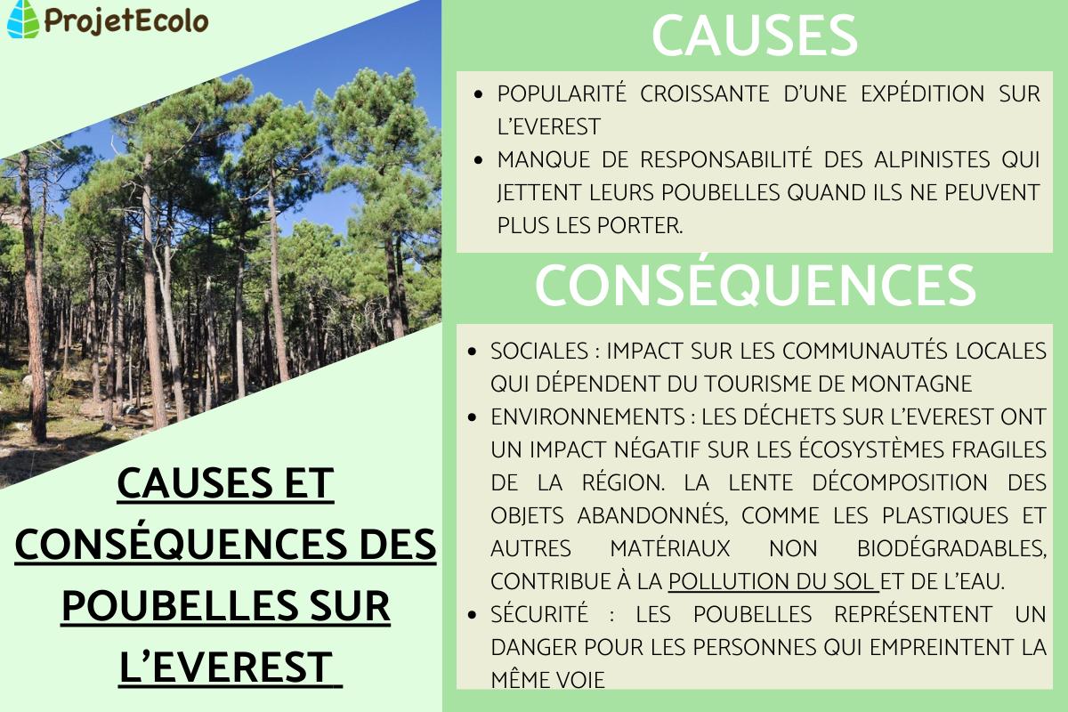 Poubelle sur l'Everest : causes et conséquences