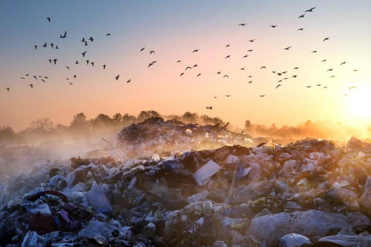 Que faire pour éviter la pollution environnementale ?