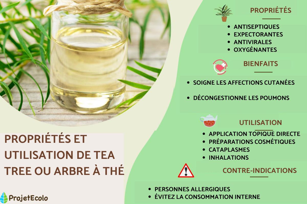 Huile essentielle de tea tree (arbre à thé) : propriétés et utilisation