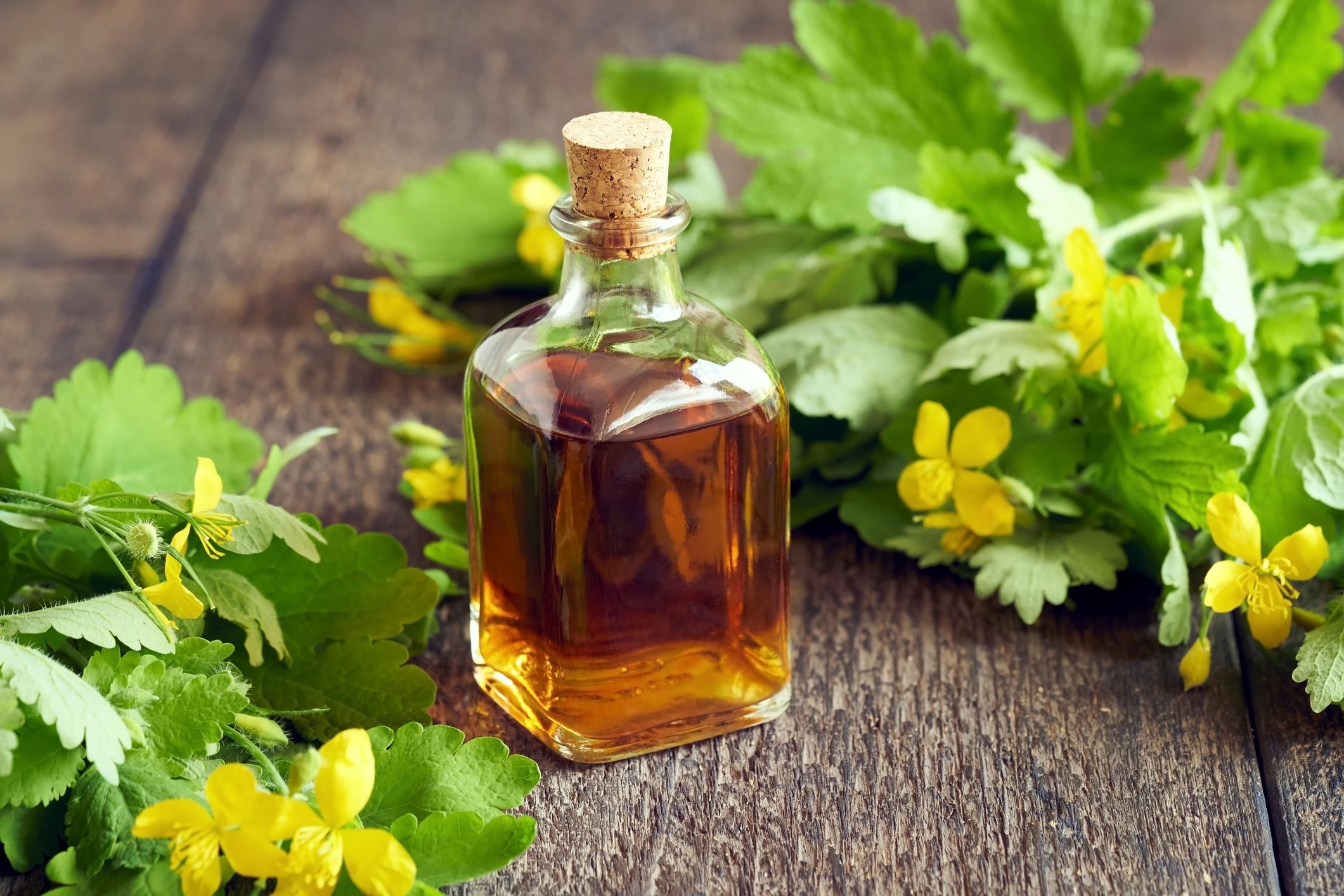 Grande Chélidoine ou Chelidonium majus Vertus et contreindications — free download