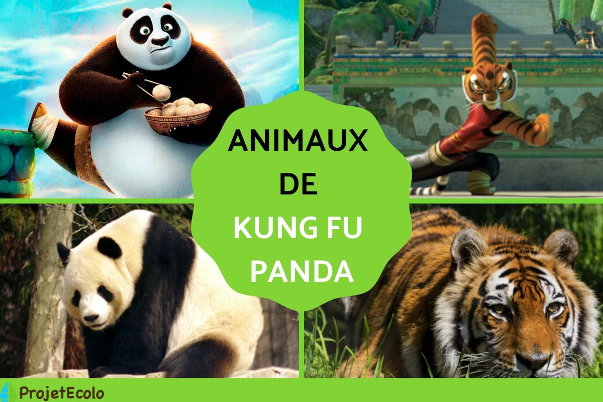 Animaux de Kung Fu Panda