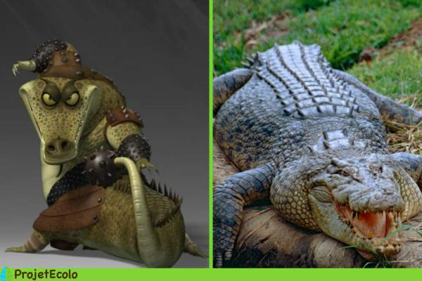 Animaux de Kung Fu Panda - Maître Crocodile