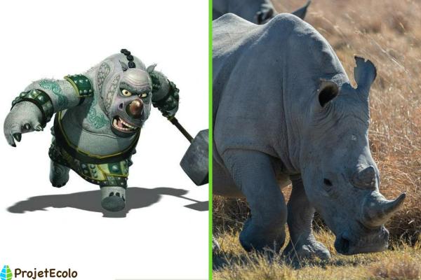 Animaux de Kung Fu Panda - Maître Rhino foudroyant