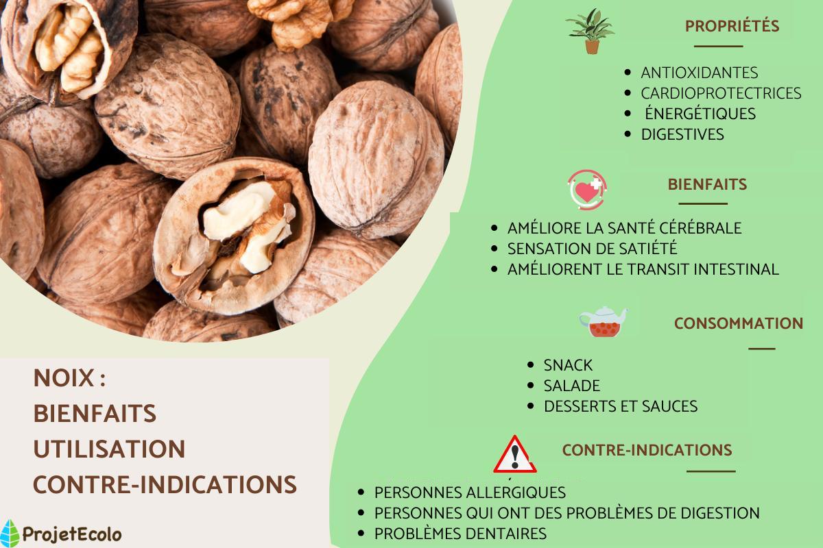 Noix : bienfaits, vertus et contre-indications