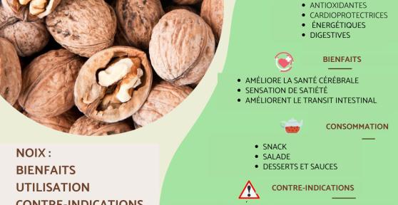 Noix : bienfaits, vertus et contre-indications
