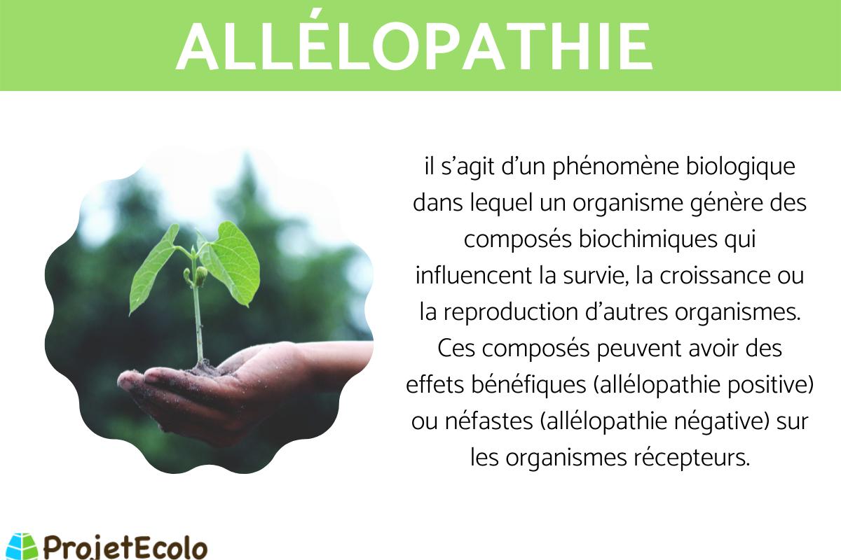 Allélopathie : Définition, types et exemples