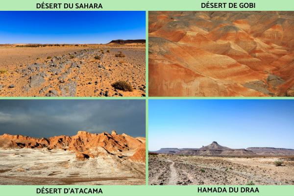 Désert de pierres ou reg : définition, formation et exemples - Exemples de déserts de pierres