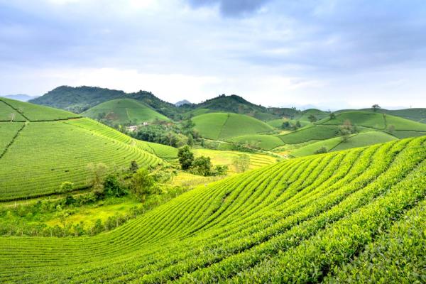 Colline : définition, formation et différence avec une montagne - Formation d'une colline