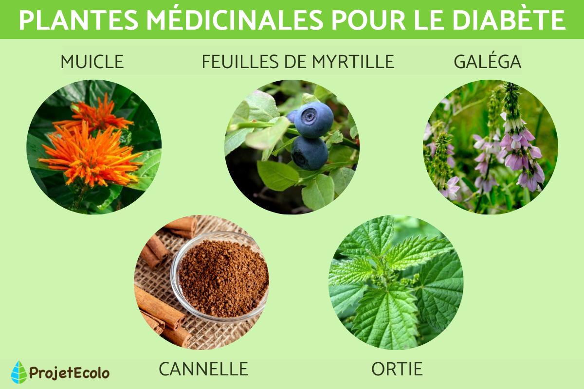 Quelle est la meilleure plante contre le diabète ?