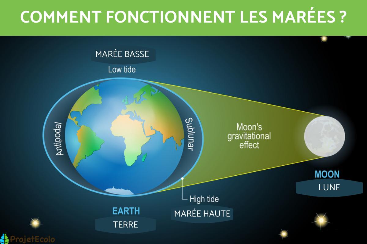 Comment fonctionnent les marées ?