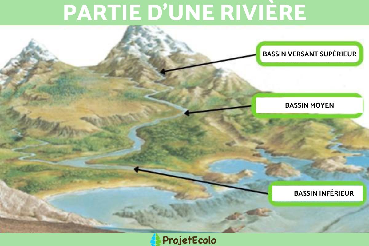 Bassin hydrographique Définition, types et importance
