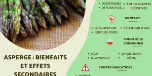 Asperge : bienfaits et effets secondaires