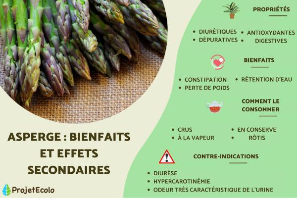 Asperge : bienfaits et effets secondaires