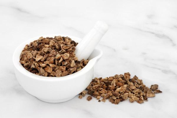 Griffe du diable : propriétés, bienfaits, dangers et fleur - Comment prendre la griffe du diable