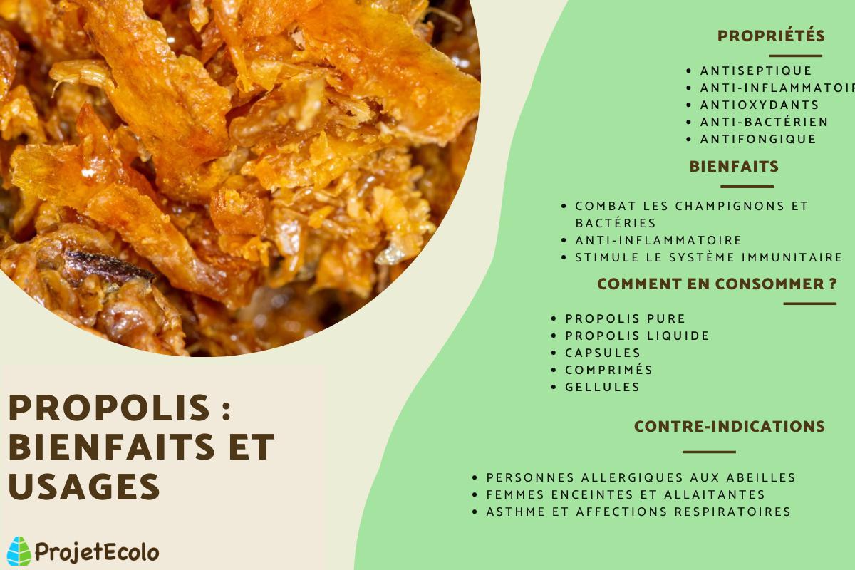 Propolis : Définition, propriétés et bienfaits
