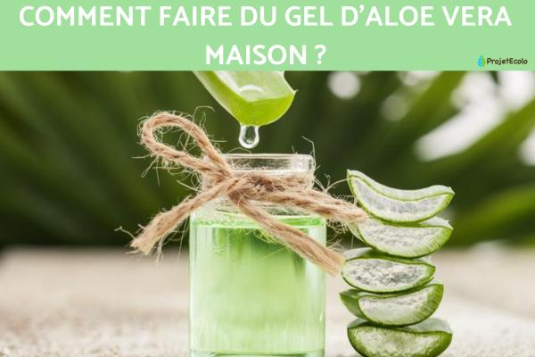 Comment faire du gel d'aloe vera maison ?