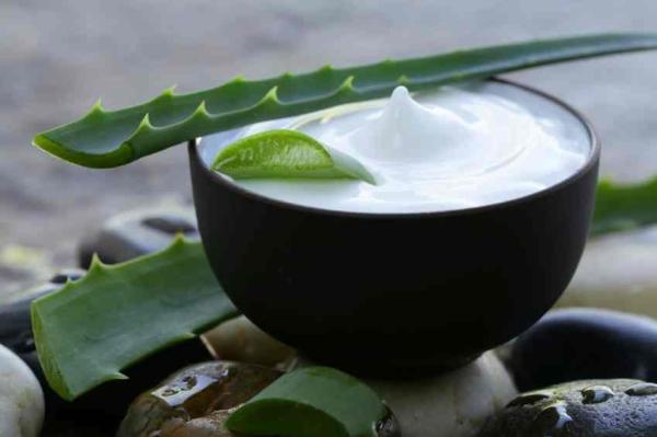 Comment faire du gel d'aloe vera maison ? - Comment préparer une crème hydratante de l'aloe vera