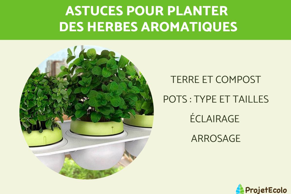 Comment planter des herbes aromatiques ?