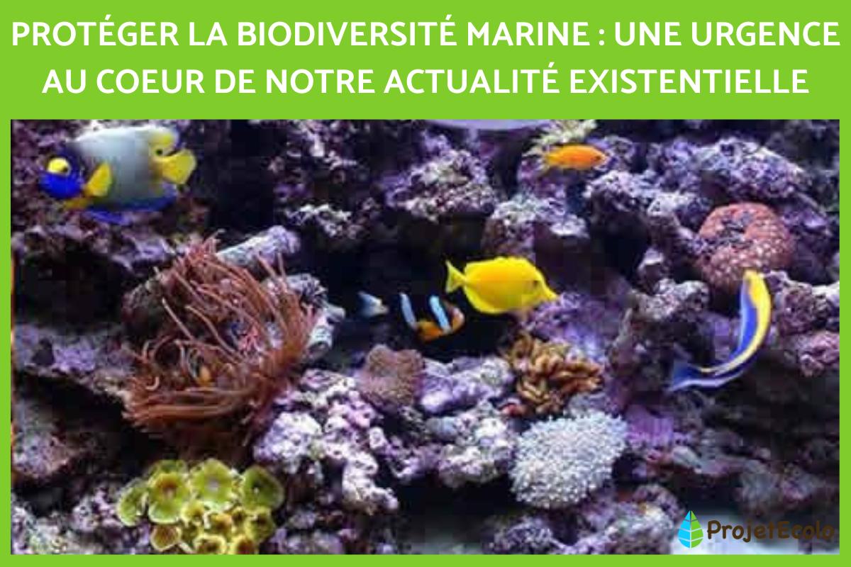 La biodiversité marine