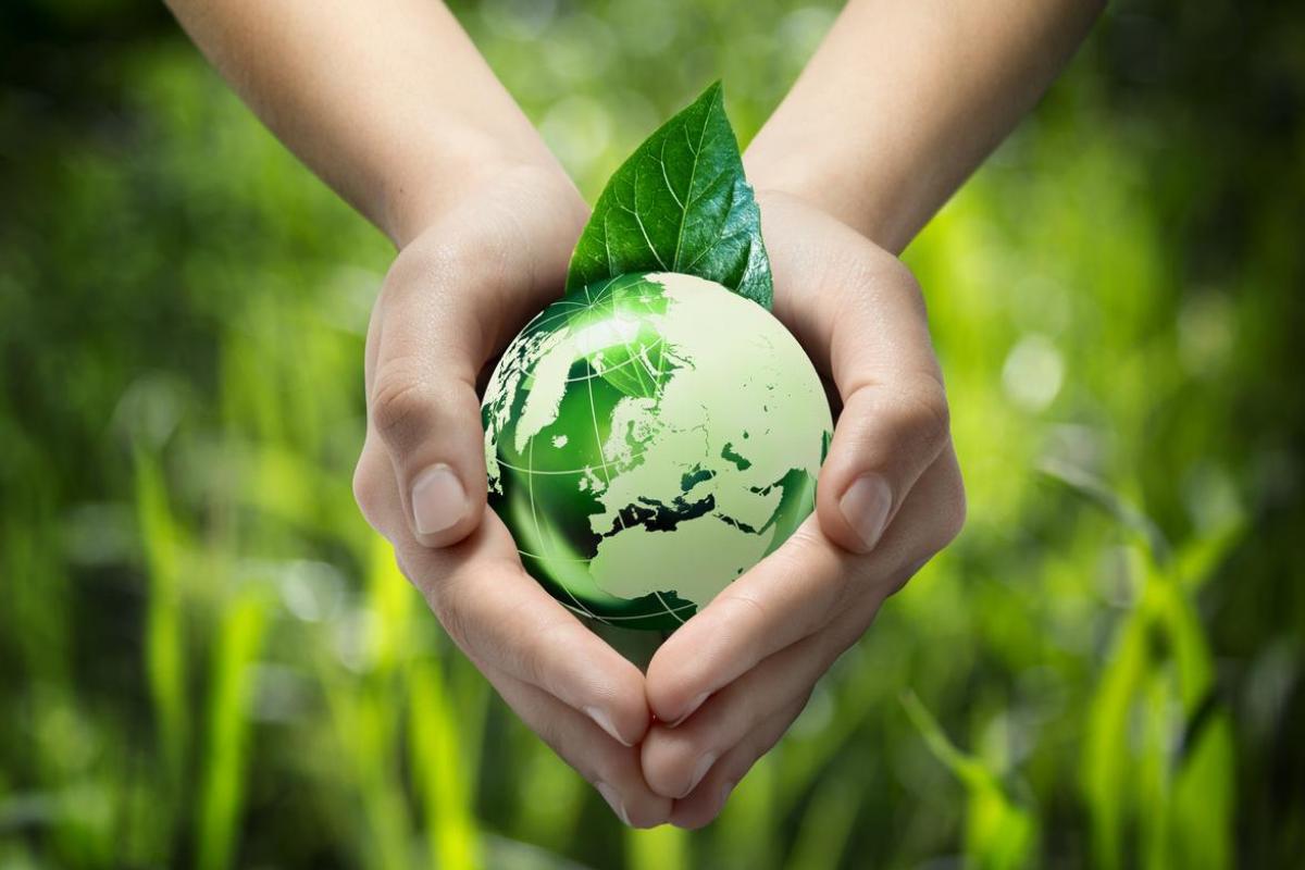 Quelle est l'importance de l'environnement ?