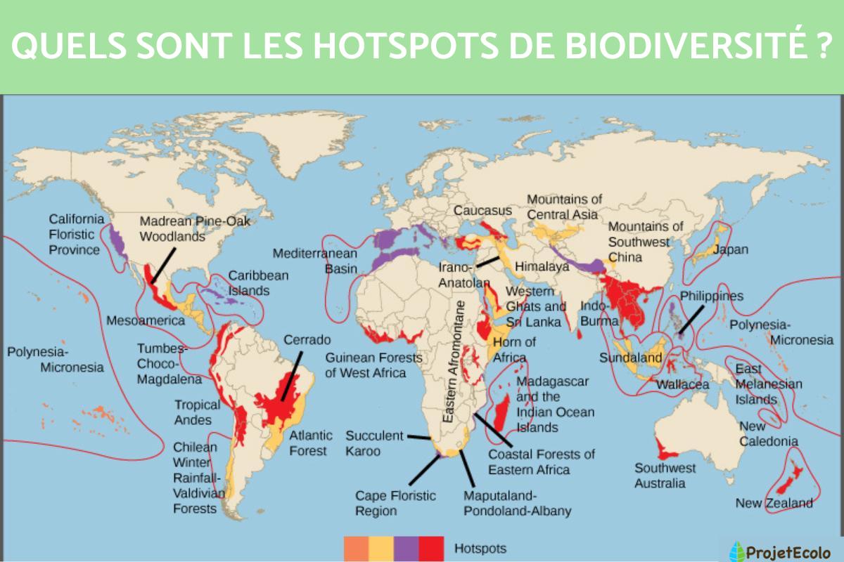 Hotspot de biodiversité Définition, où ils se trouvent et importance