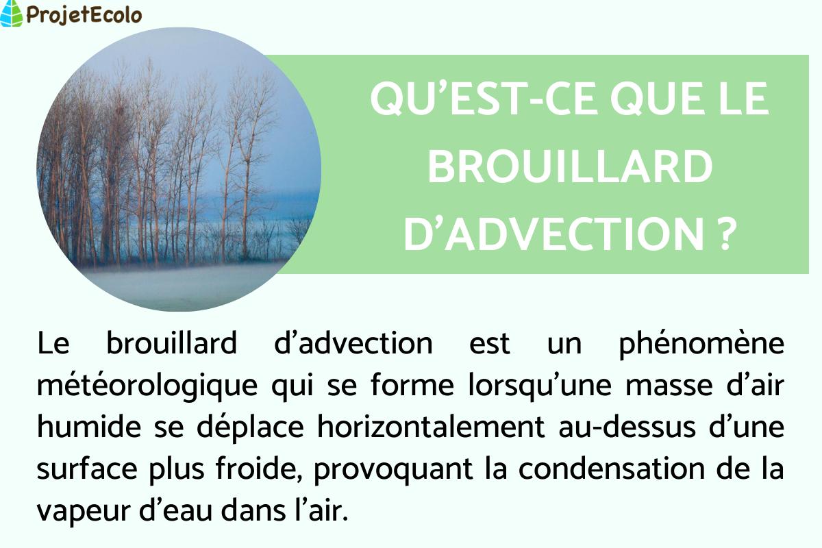 Brouillard d'advection : définition et comment il se forme
