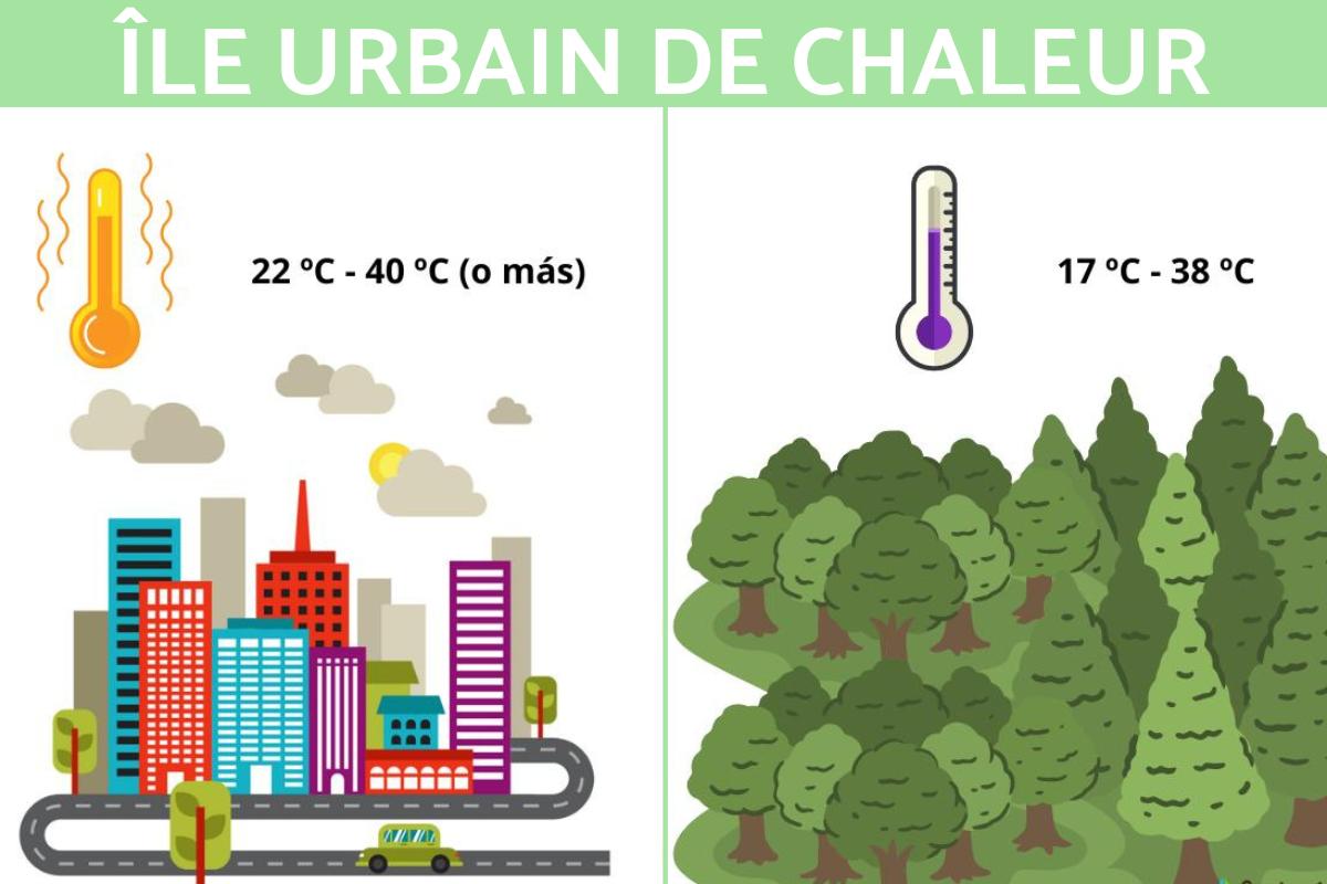 Îlot de chaleur urbain : Définition, causes, conséquences et solutions