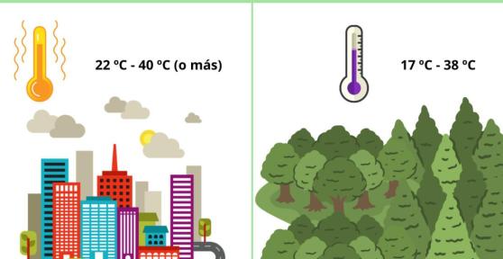 Îlot de chaleur urbain : Définition, causes, conséquences et solutions