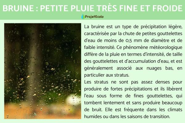 Bruine : petite pluie très fine et froide